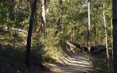 Springwood Conservation Park